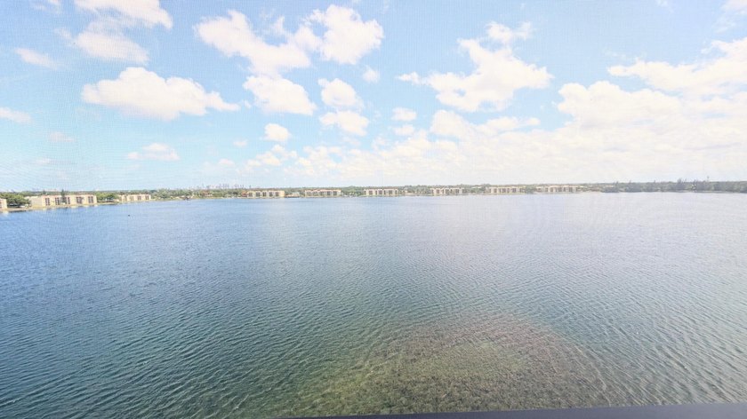 Enjoy beautiful lake views from this bright and inviting - photo 19