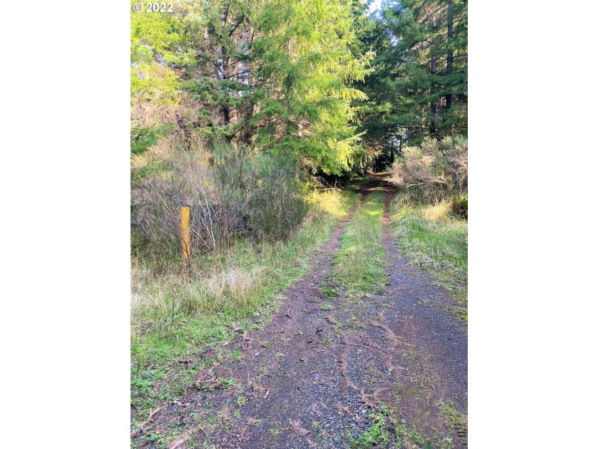 Two prime parcels of land totaling 33.58 acres, offering a - photo 5