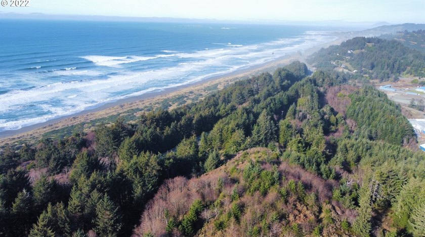 Two prime parcels of land totaling 33.58 acres, offering a - photo 7