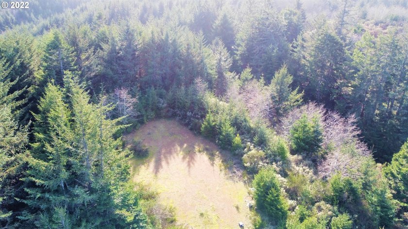 Two prime parcels of land totaling 33.58 acres, offering a - photo 8