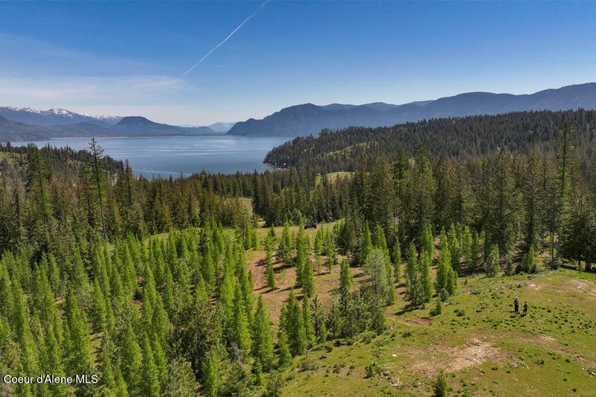 Estate Lot 16 at Camp Bay offers an extraordinary opportunity to - photo 5
