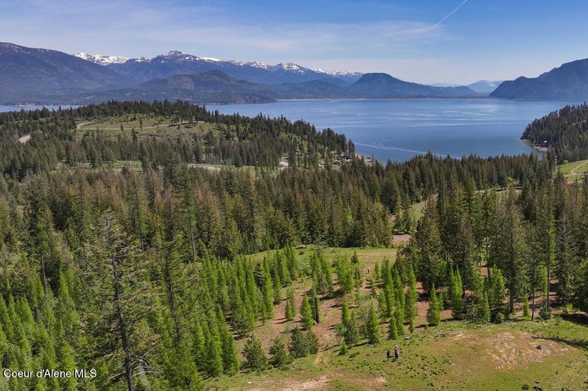 Estate Lot 16 at Camp Bay offers an extraordinary opportunity to - photo 8
