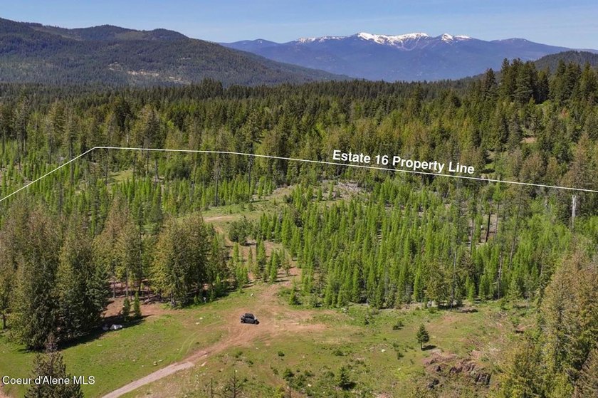 Estate Lot 16 at Camp Bay offers an extraordinary opportunity to - photo 9
