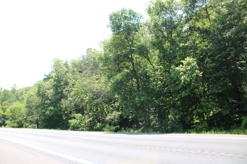20+ Nicely Wooded Acres of Your Own Wilderness Paradise. A Lush - photo 3