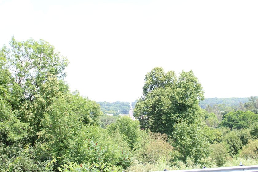 20+ Nicely Wooded Acres of Your Own Wilderness Paradise. A Lush - photo 6