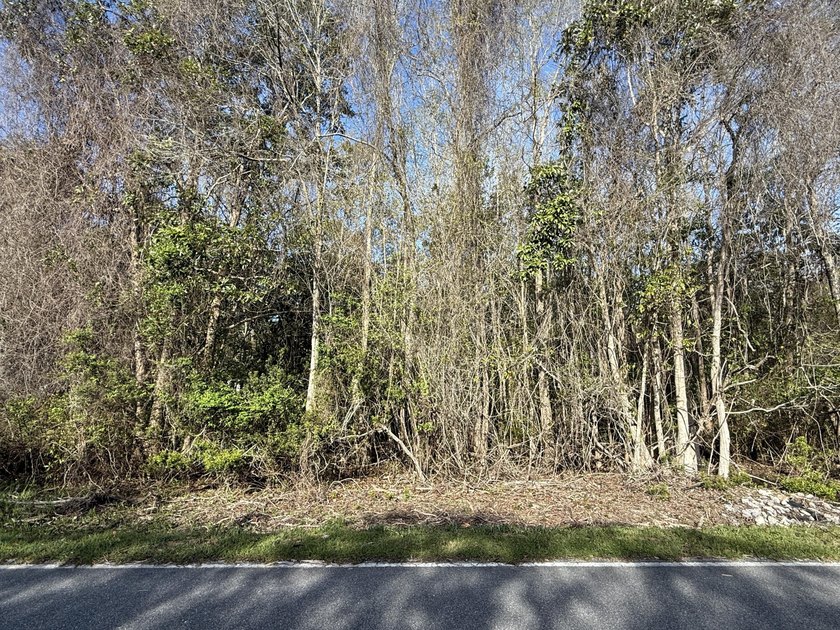 Discover the perfect spot to build your dream home! This level - photo 12