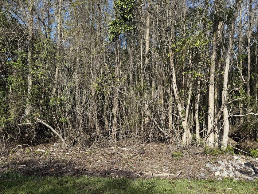 Discover the perfect spot to build your dream home! This level - photo 15