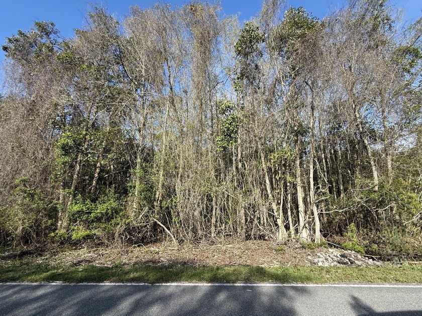Discover the perfect spot to build your dream home! This level - photo 24