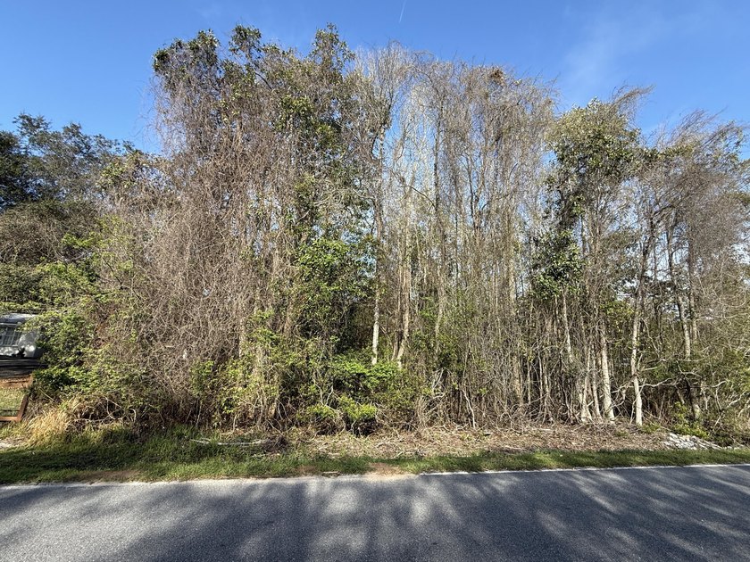 Discover the perfect spot to build your dream home! This level - photo 25