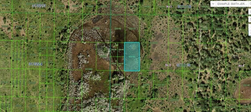 Great opportunity to own 1.31 acres of vacant land in Frostproof - photo 2