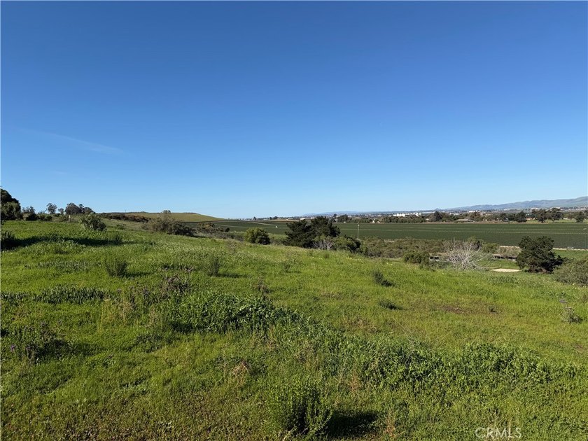 2075 Cambridge Way - photo 39