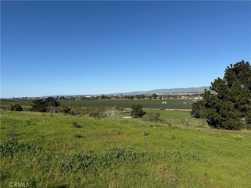2075 Cambridge Way - photo 40
