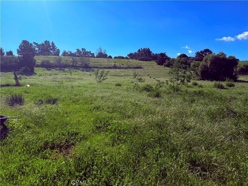 2075 Cambridge Way - photo 43