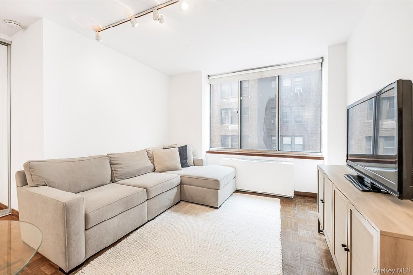 Bright, South-Facing Junior One-Bedroom in Prime Sutton Place - photo 13