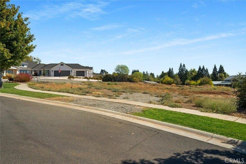 Last Chance in this GORGEOUS Community! Only 2 buildable lots - photo 12