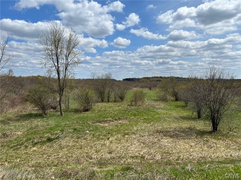 This area of just over 79 acres split by interstate 781. The - photo 11