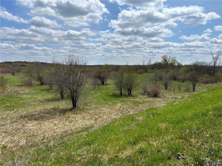 This area of just over 79 acres split by interstate 781. The - photo 12