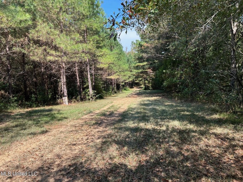 This 81+/- acre recreational tract in Holmes County offers the - photo 16