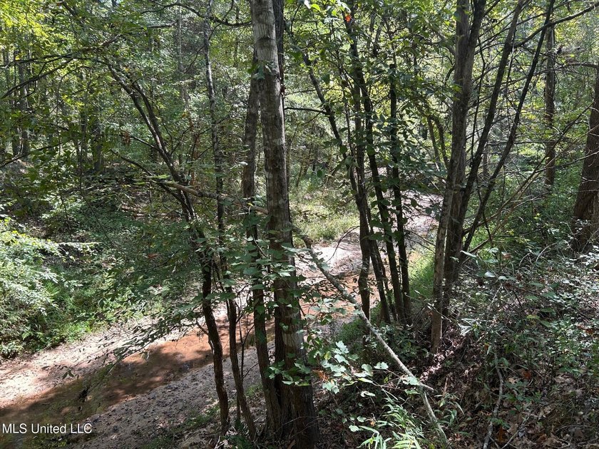 This 81+/- acre recreational tract in Holmes County offers the - photo 17
