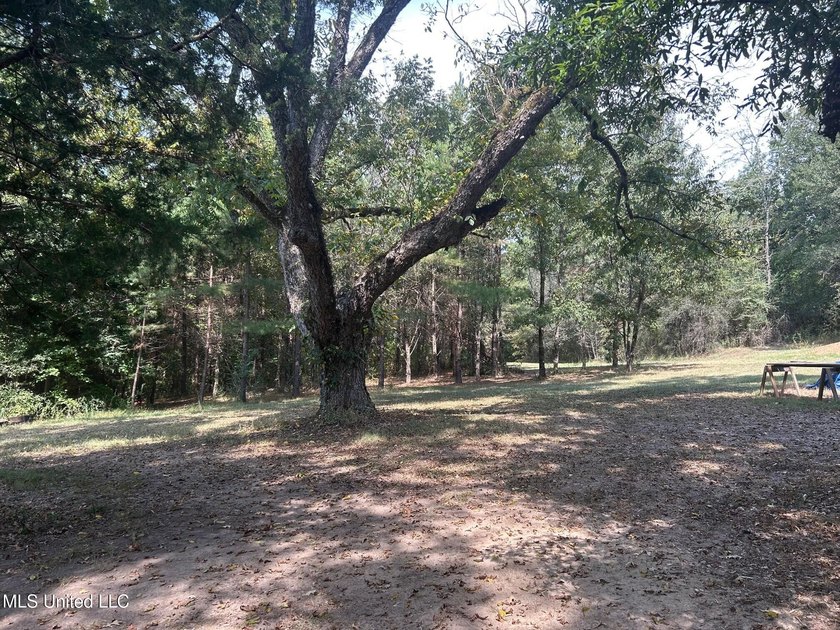 This 81+/- acre recreational tract in Holmes County offers the - photo 19