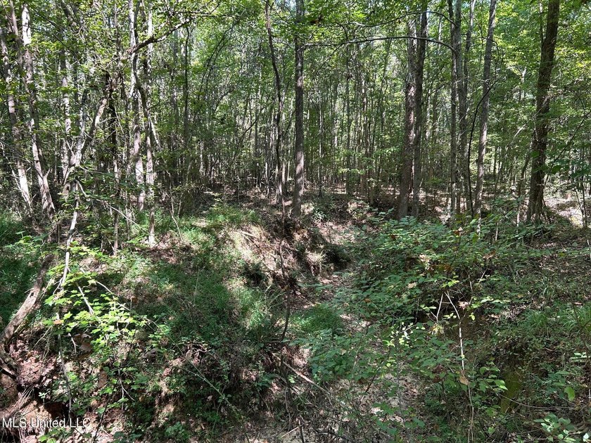 This 81+/- acre recreational tract in Holmes County offers the - photo 20