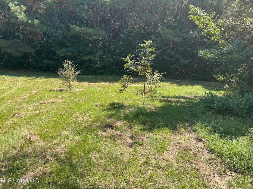 This 81+/- acre recreational tract in Holmes County offers the - photo 21