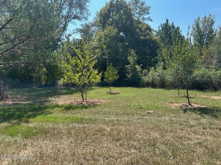 This 81+/- acre recreational tract in Holmes County offers the - photo 23