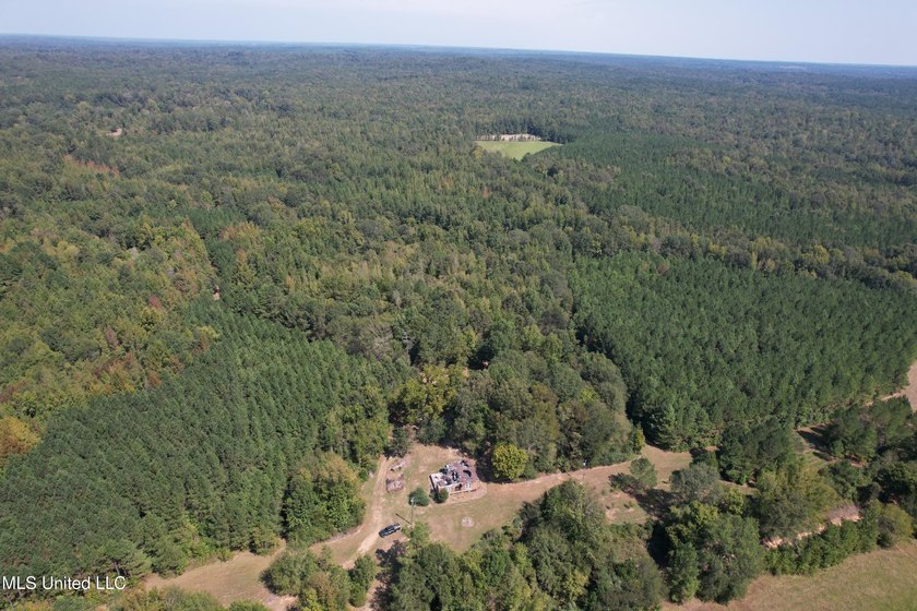 This 81+/- acre recreational tract in Holmes County offers the - photo 24