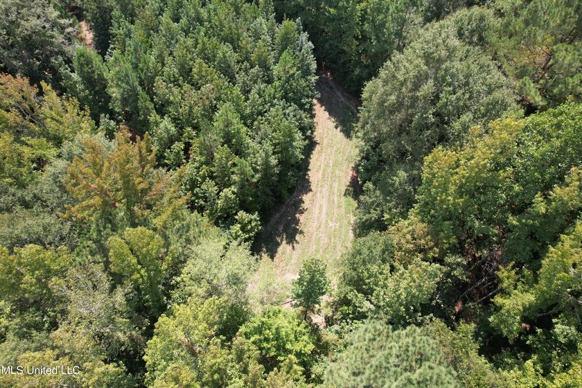 This 81+/- acre recreational tract in Holmes County offers the - photo 26