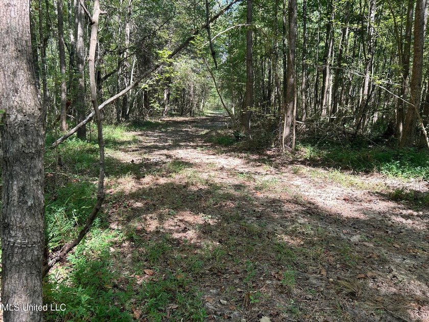 This 81+/- acre recreational tract in Holmes County offers the - photo 27
