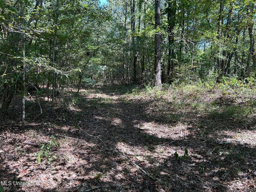 This 81+/- acre recreational tract in Holmes County offers the - photo 30
