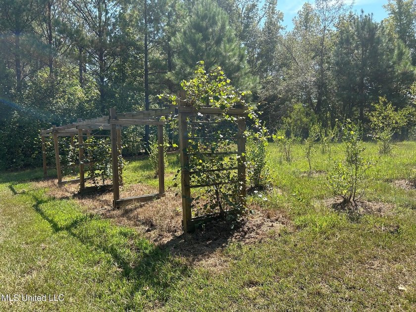 This 81+/- acre recreational tract in Holmes County offers the - photo 33