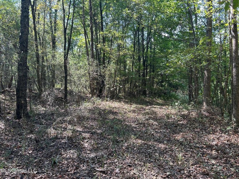This 81+/- acre recreational tract in Holmes County offers the - photo 34