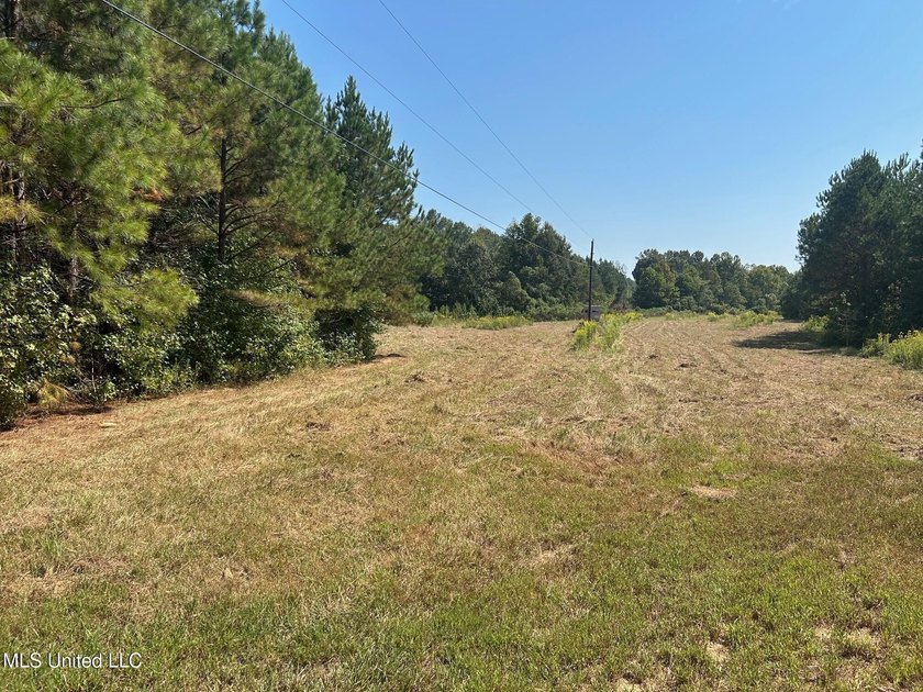 This 81+/- acre recreational tract in Holmes County offers the - photo 35