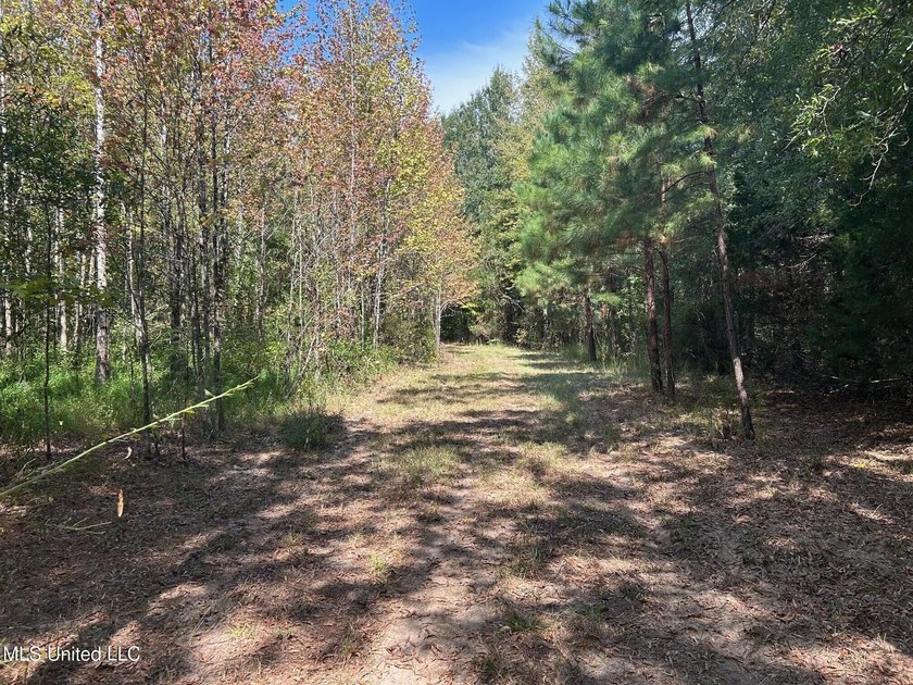 This 81+/- acre recreational tract in Holmes County offers the - photo 36