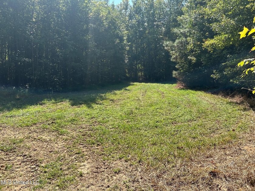 This 81+/- acre recreational tract in Holmes County offers the - photo 40