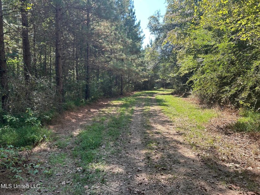 This 81+/- acre recreational tract in Holmes County offers the - photo 41