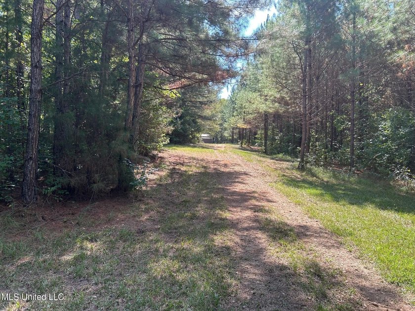 This 81+/- acre recreational tract in Holmes County offers the - photo 42