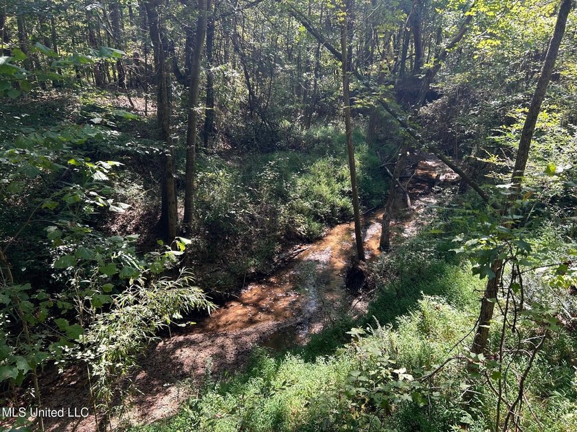 This 81+/- acre recreational tract in Holmes County offers the - photo 43