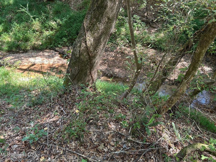 This 81+/- acre recreational tract in Holmes County offers the - photo 44