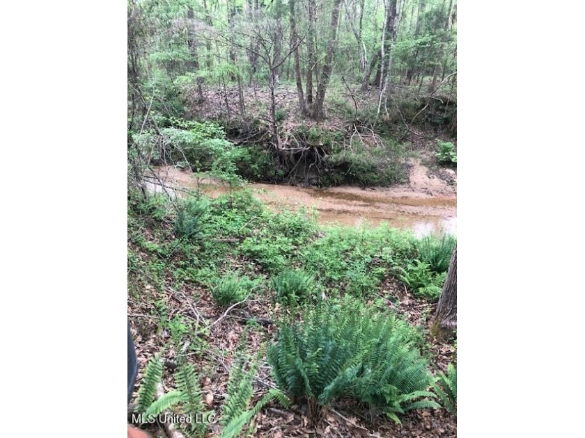 This 81+/- acre recreational tract in Holmes County offers the - photo 46