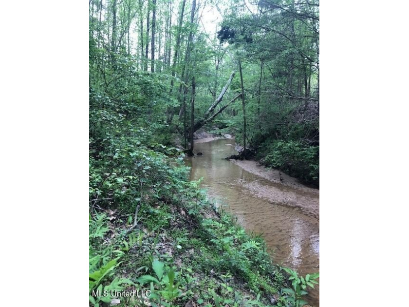 This 81+/- acre recreational tract in Holmes County offers the - photo 47