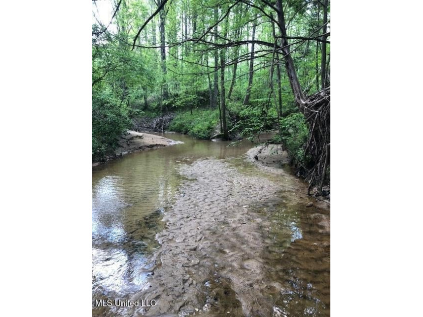 This 81+/- acre recreational tract in Holmes County offers the - photo 48