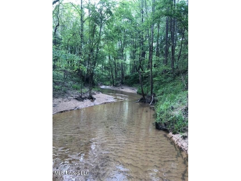 This 81+/- acre recreational tract in Holmes County offers the - photo 49