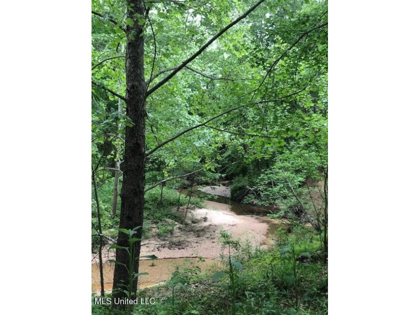 This 81+/- acre recreational tract in Holmes County offers the - photo 50
