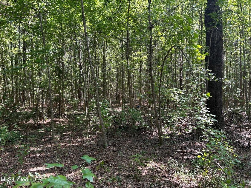 This 81+/- acre recreational tract in Holmes County offers the - photo 51