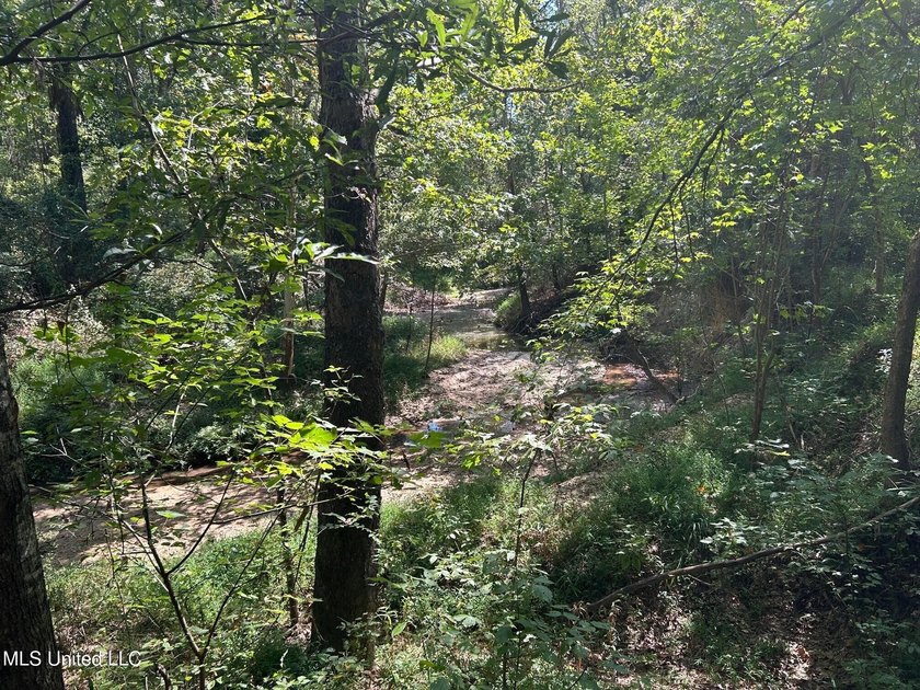This 81+/- acre recreational tract in Holmes County offers the - photo 52