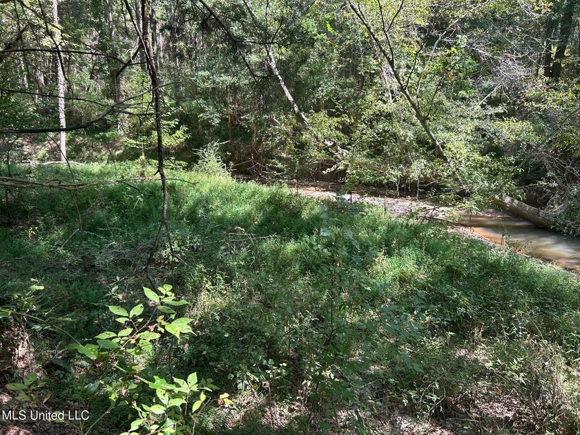 This 81+/- acre recreational tract in Holmes County offers the - photo 53