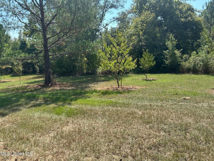 This 81+/- acre recreational tract in Holmes County offers the - photo 55