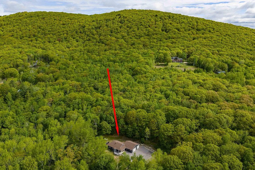 Nestled on 10 private acres, this beautifully updated home - photo 2